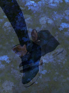 Air Jordan Plumbago I