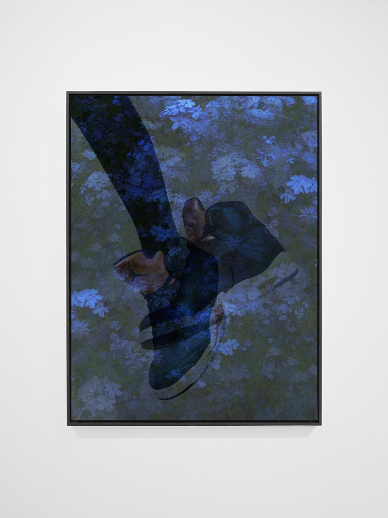 Joseph Desler Costa Still-Life Photograph - Air Jordan Plumbago I