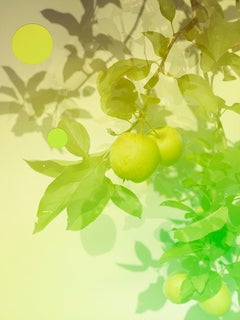 Green Apples