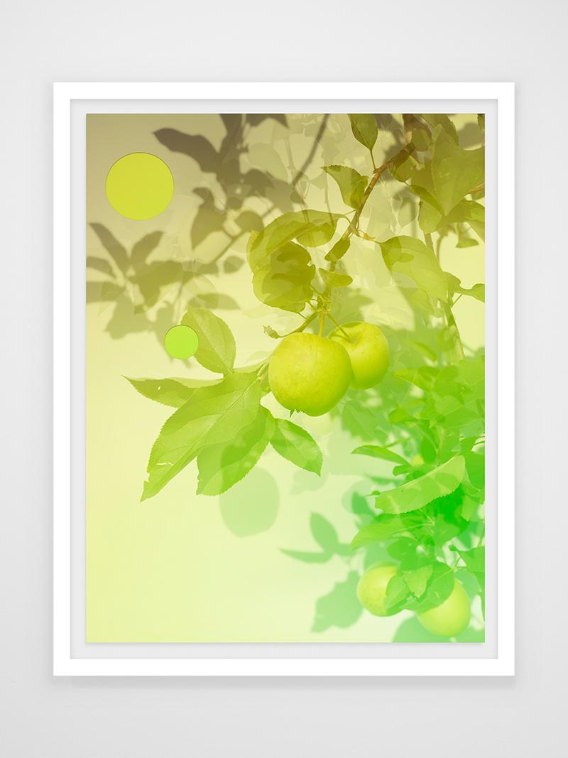 Joseph Desler Costa Print - Green Apples