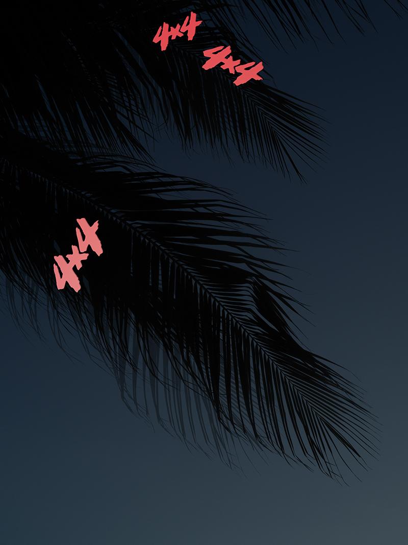 Night Palms - Photograph by Joseph Desler Costa