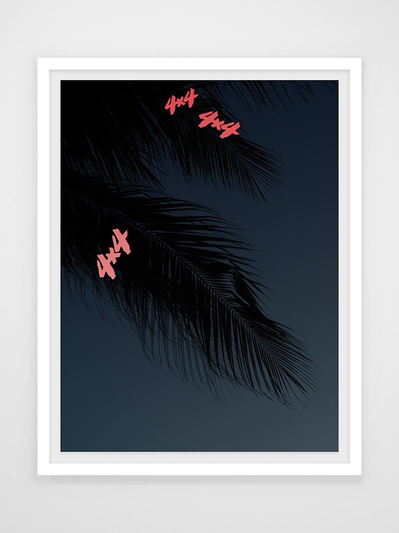 Joseph Desler Costa Color Photograph - Night Palms