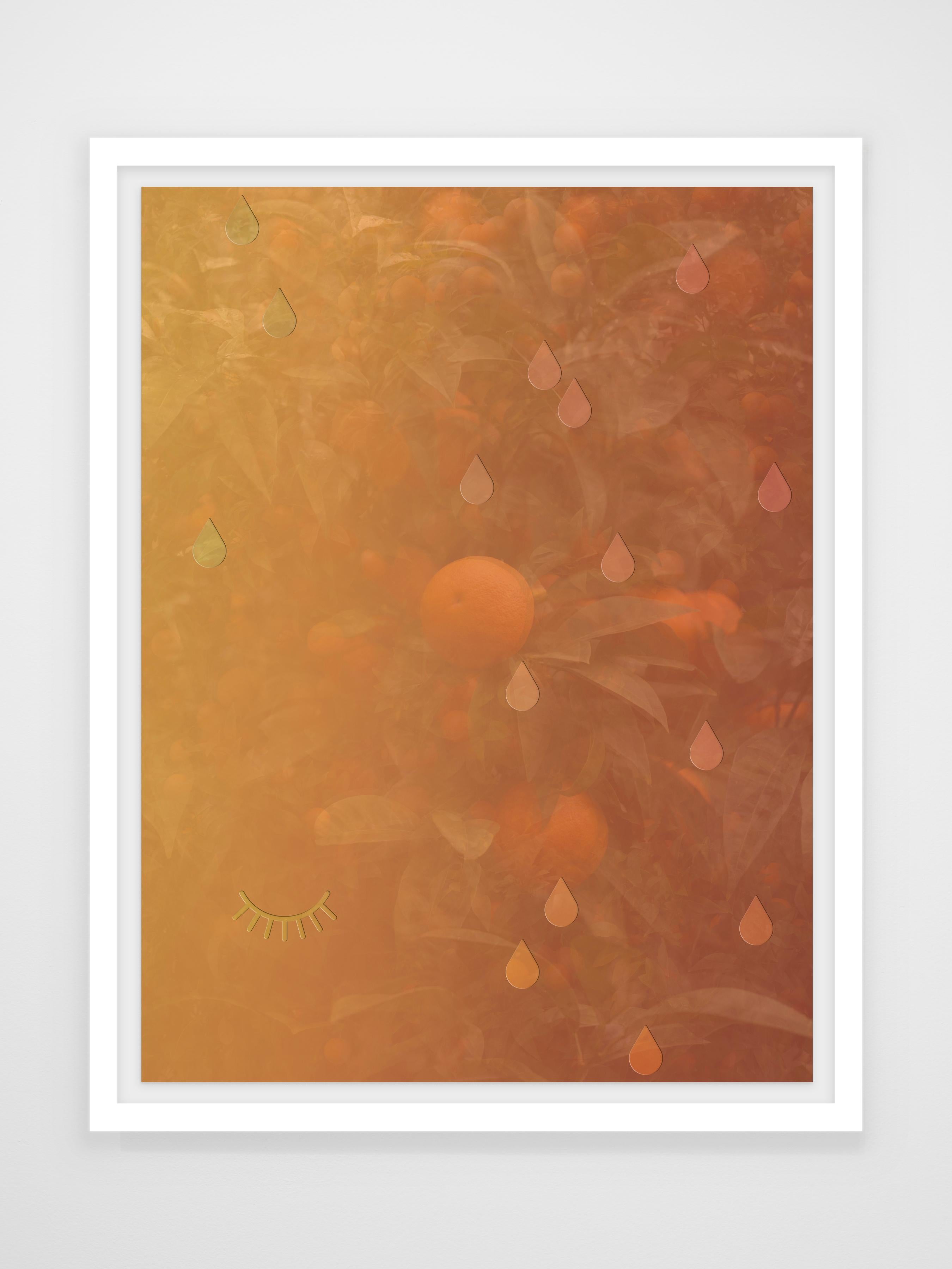 Oranges Drop Blossoms Tear - Photograph by Joseph Desler Costa