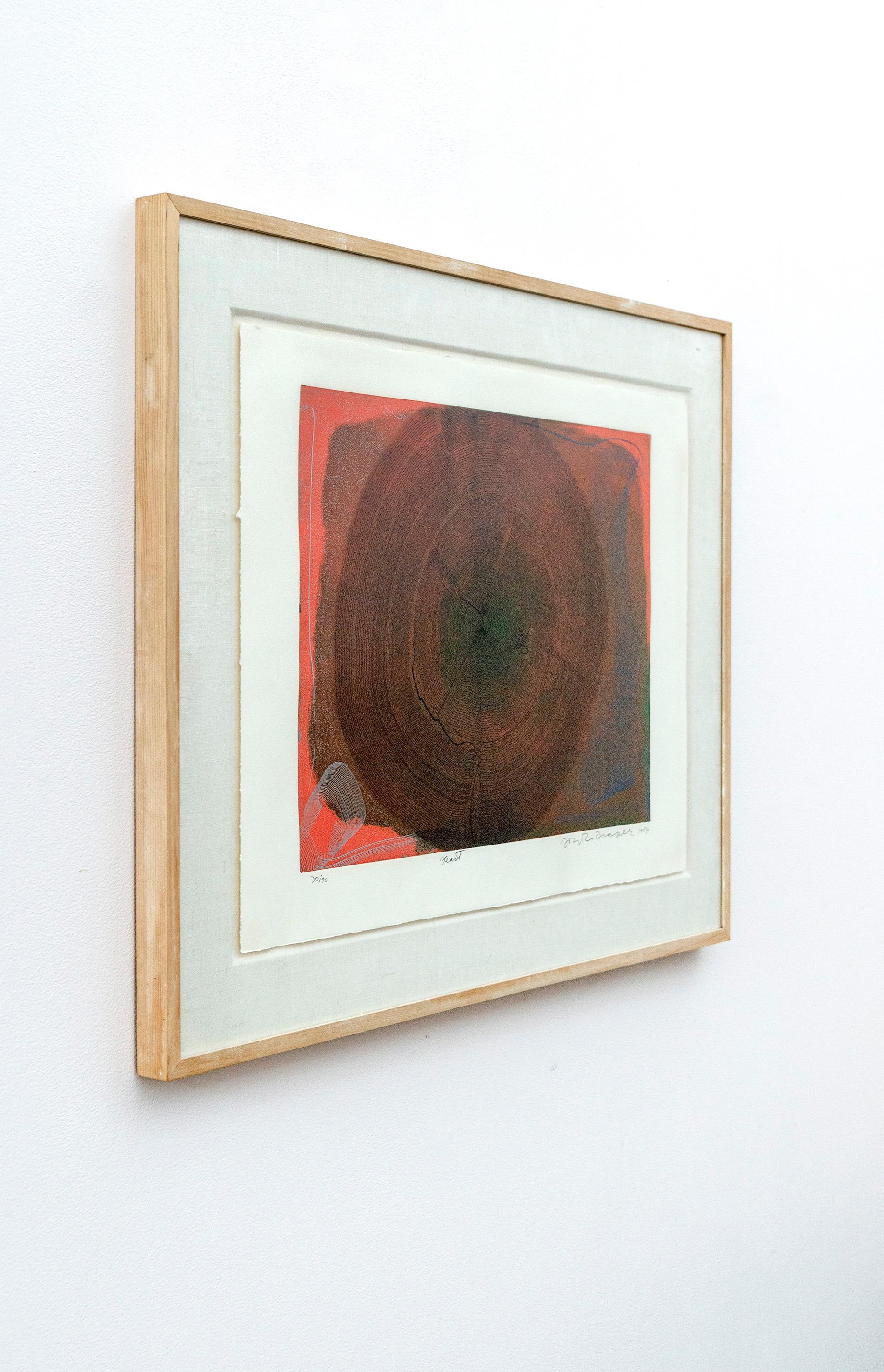 Heart 30/90 - unique, colourful, abstract, one off, framed monoprint - Abstract Print by Joseph Drapell