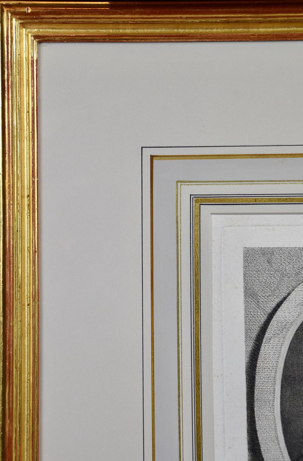 Benjamin Franklin: A Framed 18th Century Portrait of by Duplessis - Brown Portrait Print by Joseph Duplessis