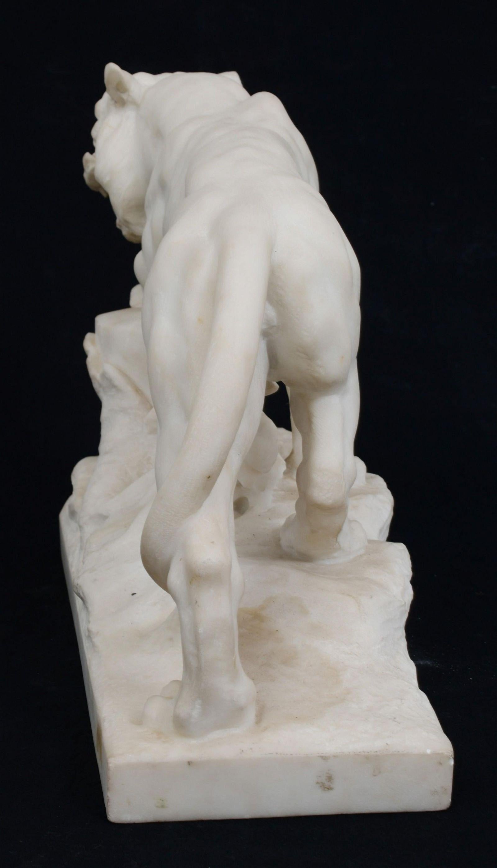 Sculpture italienne en marbre représentant un lion en chasse, réalisée par Joseph Frugoni (1897-1923).  En très bon état.