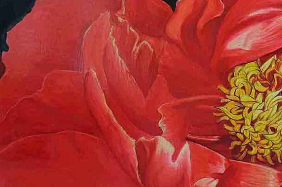 red peony painting