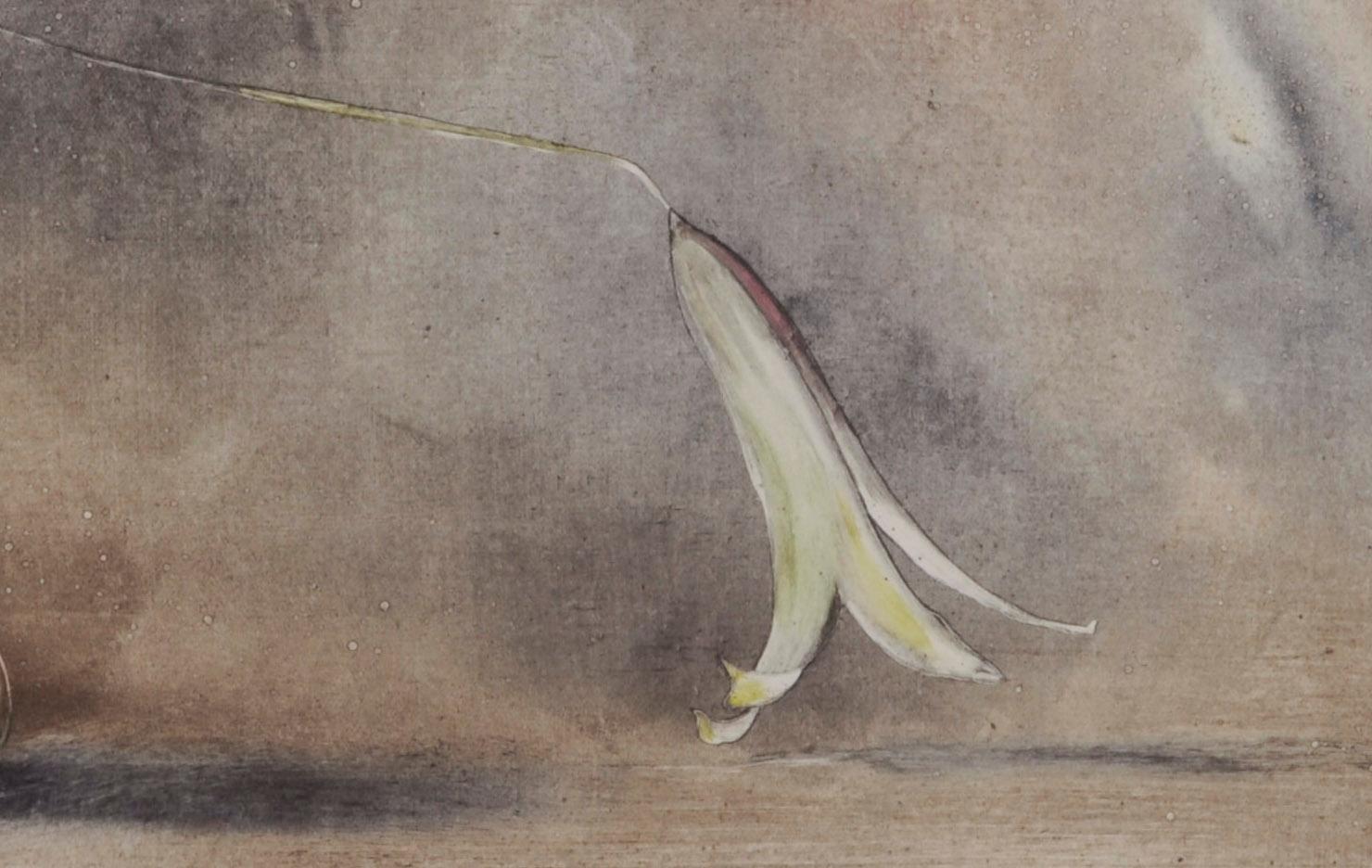 Three Lilies
Monotype on Arches wove paper, 1980
Signed, titled and dated in pencil by the artist
Dimensions: 13 x 18-5/8