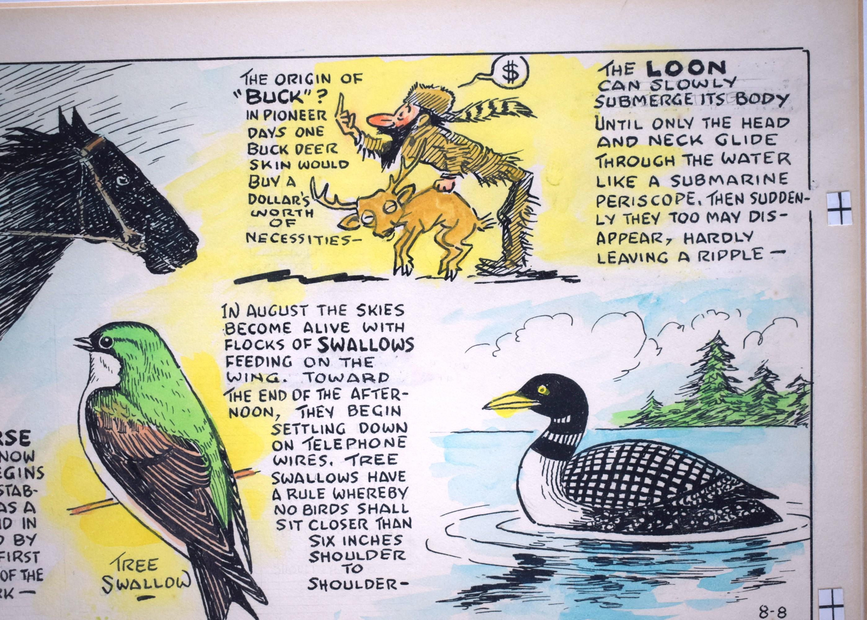 „Nature Notes“ Cartoon-Kunstwerk von Joseph L. Parrish Chicago Tribune, 1982 im Angebot 3