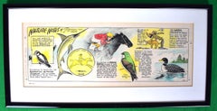 Vintage "Nature Notes" 1982 Cartoon Artwork by Joseph L. Parrish Chicago Tribune