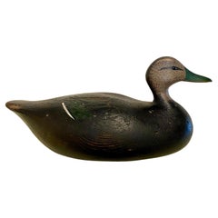 Antique Joseph Lincoln Black Duck Drake Decoy, Circa 1900