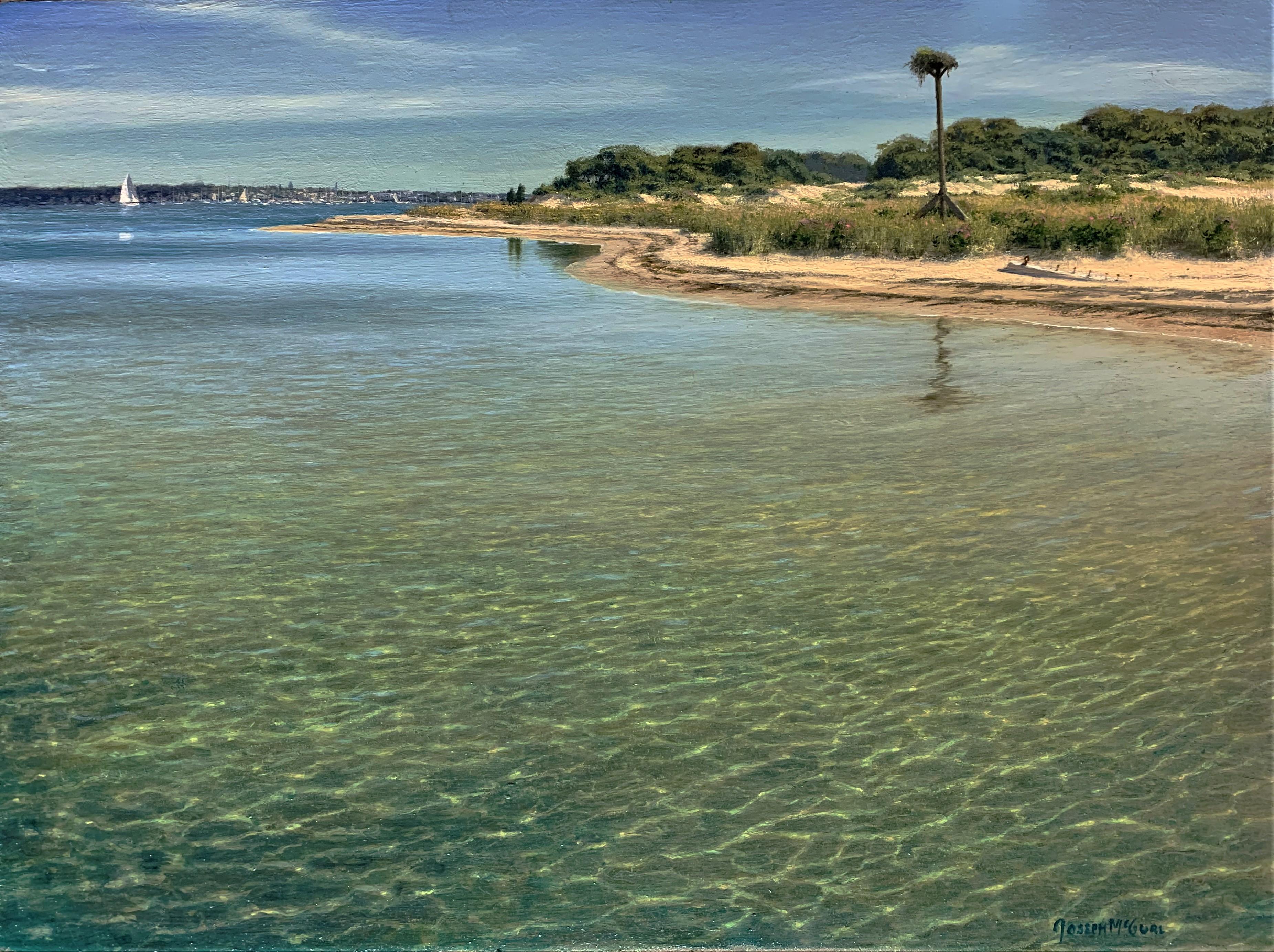 Landscape Painting di Joseph McGurl - Lungo la costa, Nantucket