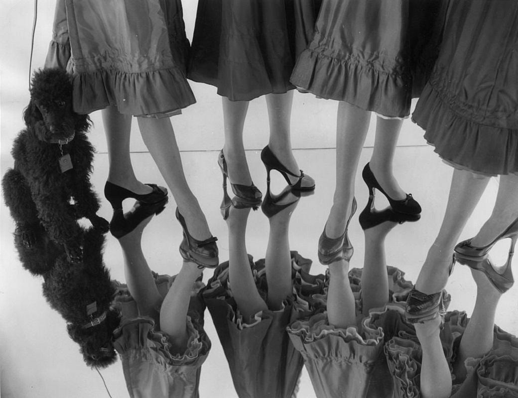 "Schicke Schuhe" von Joseph McKeown

18. September 1954: Ein Pudel verleiht einer Reihe von Schuhen, die der 26-jährige Jean Matthew nach den aktuellen amerikanischen und italienischen Trends entwirft, einen Hauch von Schick. Jean ist Absolventin