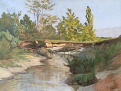 Landscape on the banks of a river and view of the Salève