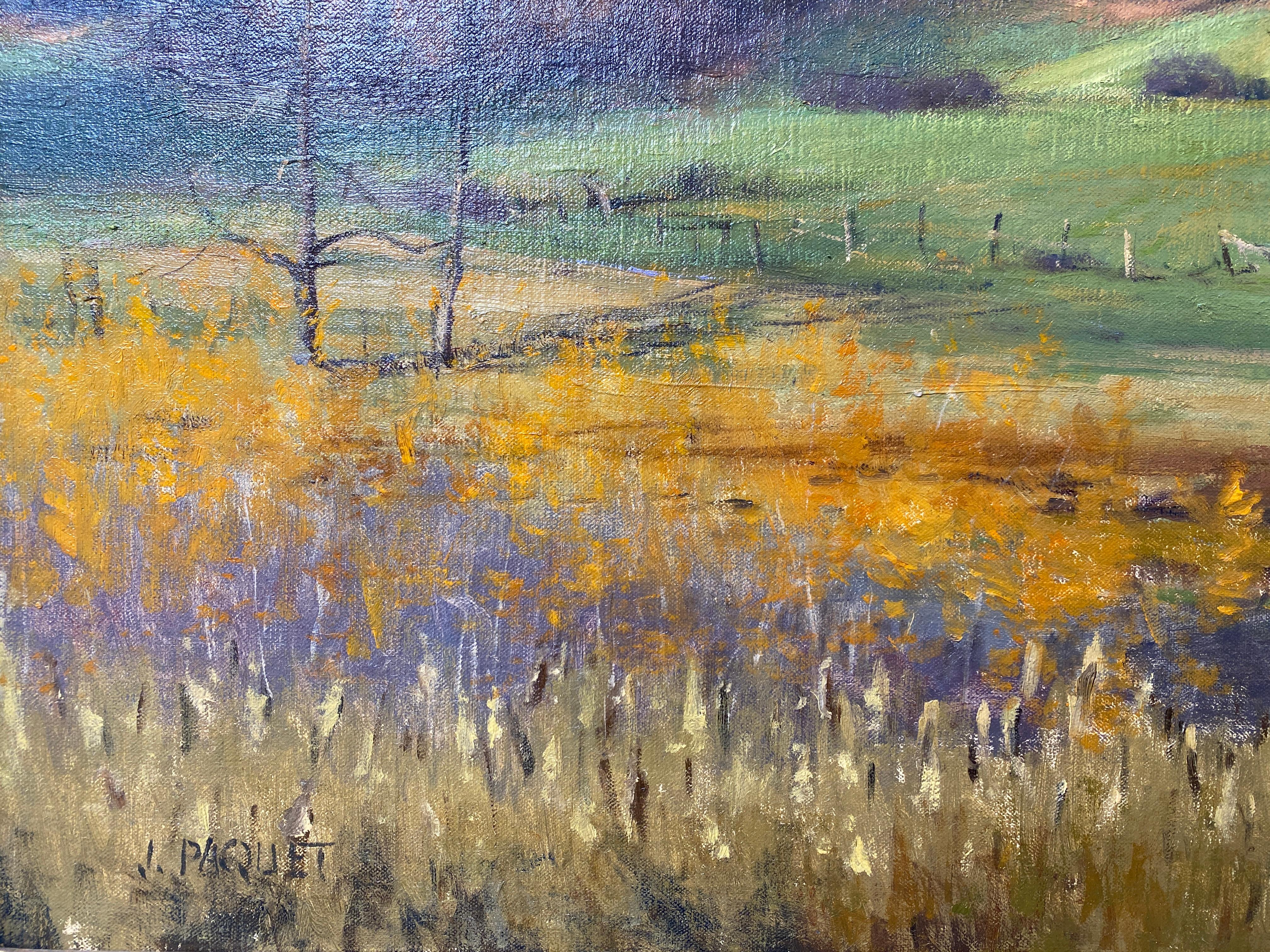 « Autumn Sun, Menomonie WI, 2015 - Peinture à l'huile réaliste américaine d'une ferme du Midwestern en vente 3