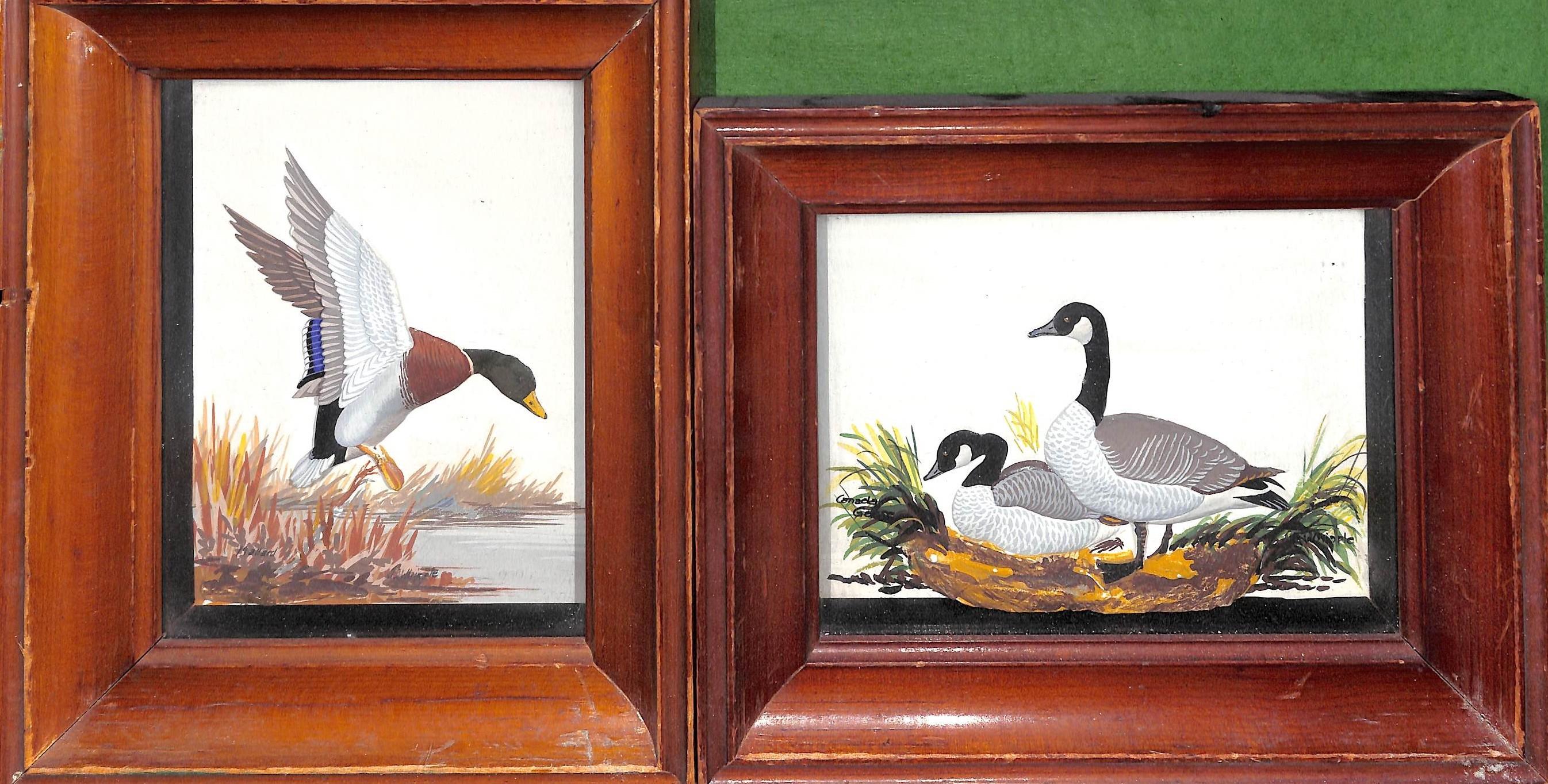 Joseph Q. Whipple, Sr. (American, Ohio; 1917 – 2008)
Mallard and Canada Geese, mid to late 20th century
Two gouache paintings over plaster bas relief ground in shadowbox frames
Each signed to the lower right
Titles inscribed to the lower