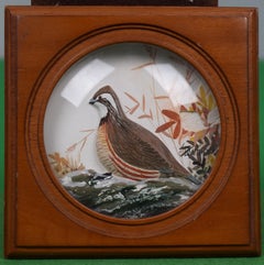 Abercrombie & Fitch Quail Hand-Painted by Joseph Q. Whipple Shadowbox