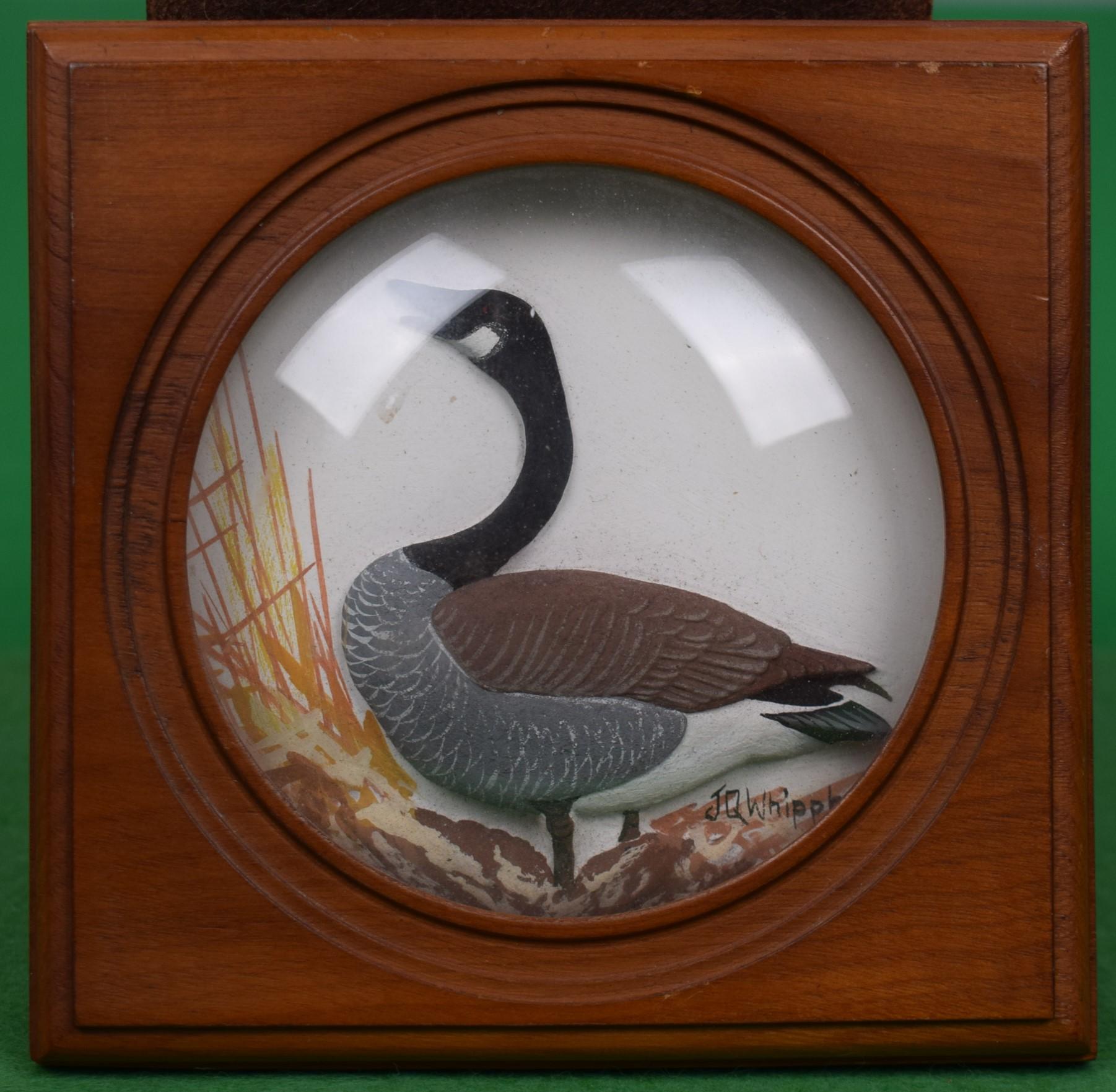Art Sz: 3 5/8"D

Frame Sz: 5"H x 4 7/8"W

Joseph Quinn Whipple, Sr. (American, 1917-2008) was a nationally known wildlife artist and sculptor primarily known for his detailed hand-carved wildlife shadowbox creations in relief of wildlife & game
