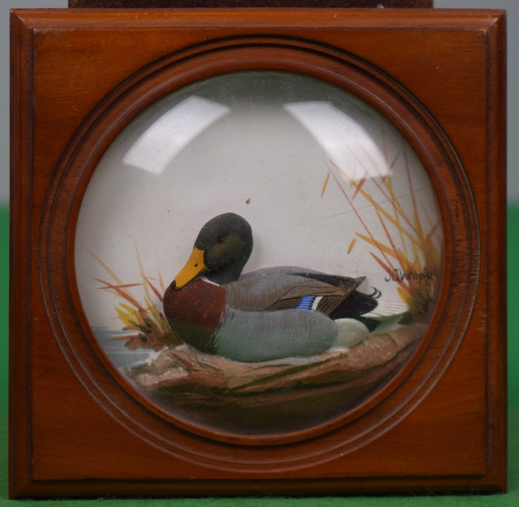 Art Sz: 3 5/8 "D

Rahmengröße: 5 "H x 4 7/8 "W

Joseph Quinn Whipple, Sr. (Amerikaner, 1917-2008) war ein landesweit bekannter Wildtierkünstler und Bildhauer, der vor allem für seine detaillierten handgeschnitzten Schattenboxen mit Reliefs von