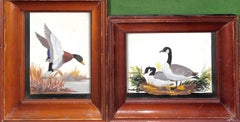 Animal Paintings