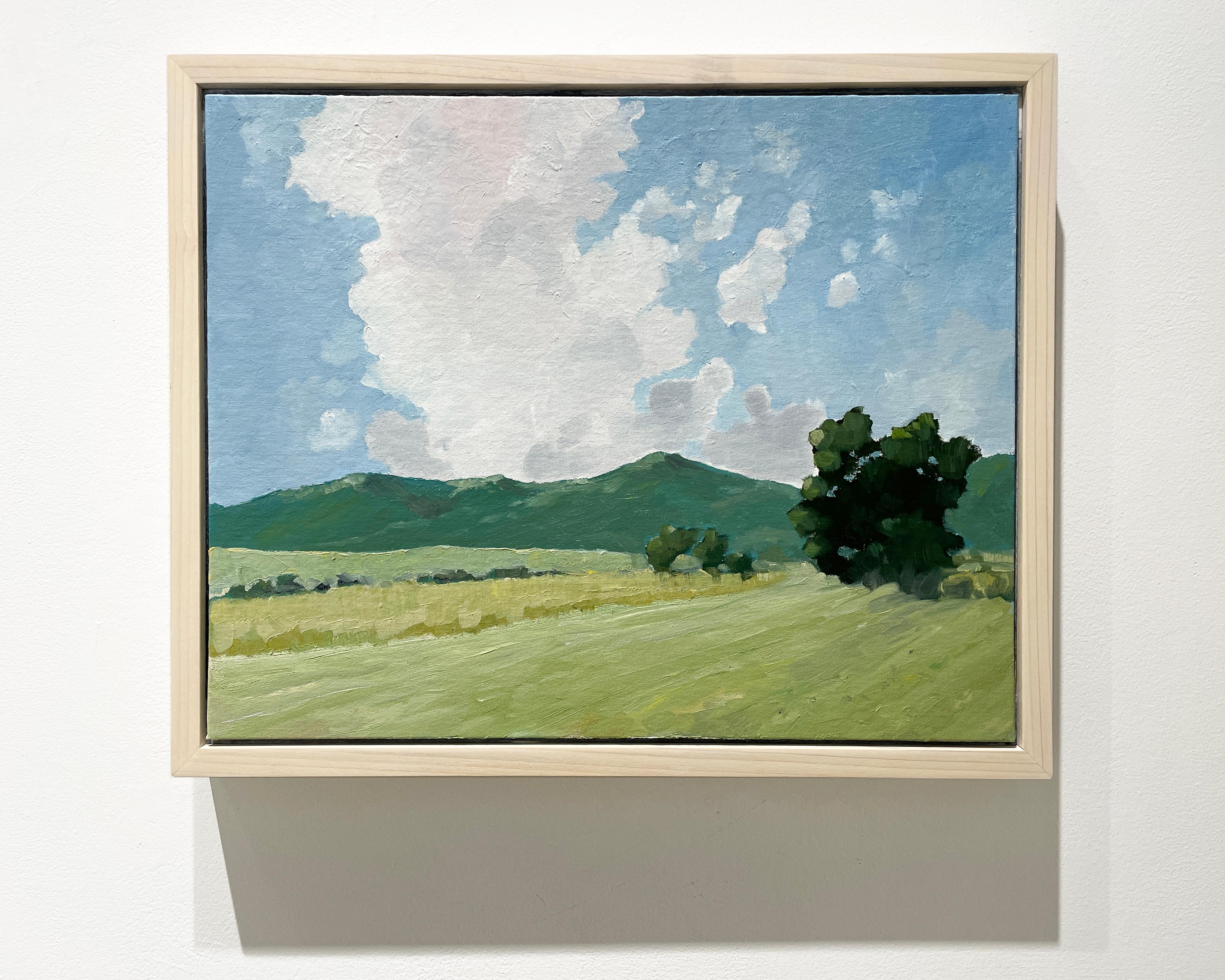 Midsummer (En Plein Air Landscape Painting of Country Mountains and Sky) For Sale 1