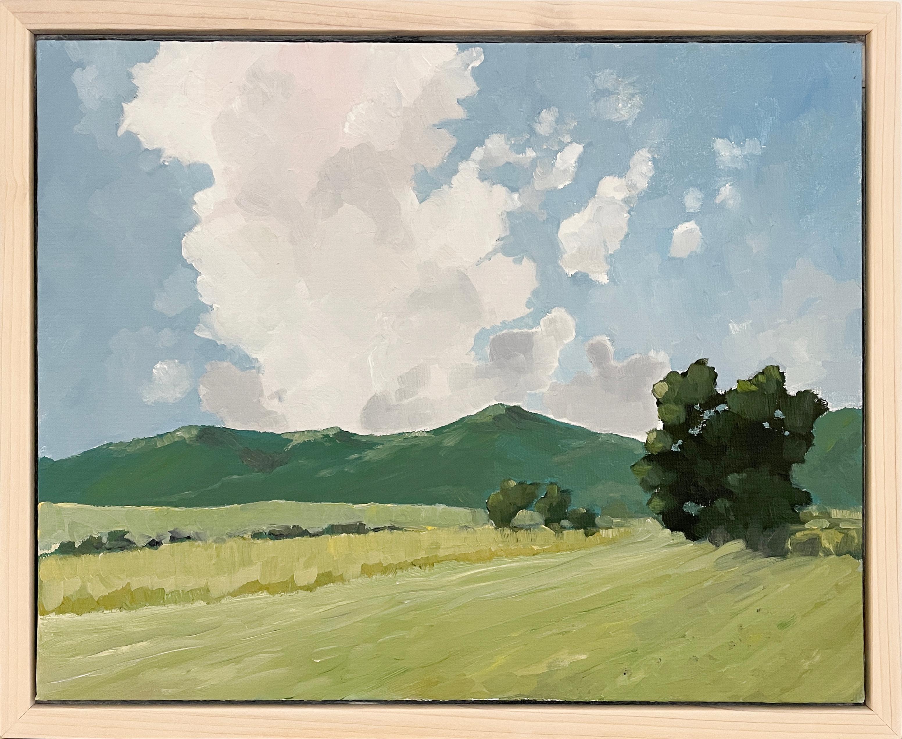 Modern en plein air landscape oil painting on canvas of countryside mountains and blue sky
'Midsummer' by Joseph Rapp
16 x 20 inches, acrylic on canvas
17.75 x 21.75 inches framed in white stained wood floater frame

Joseph Rapp’s craftsmanship is