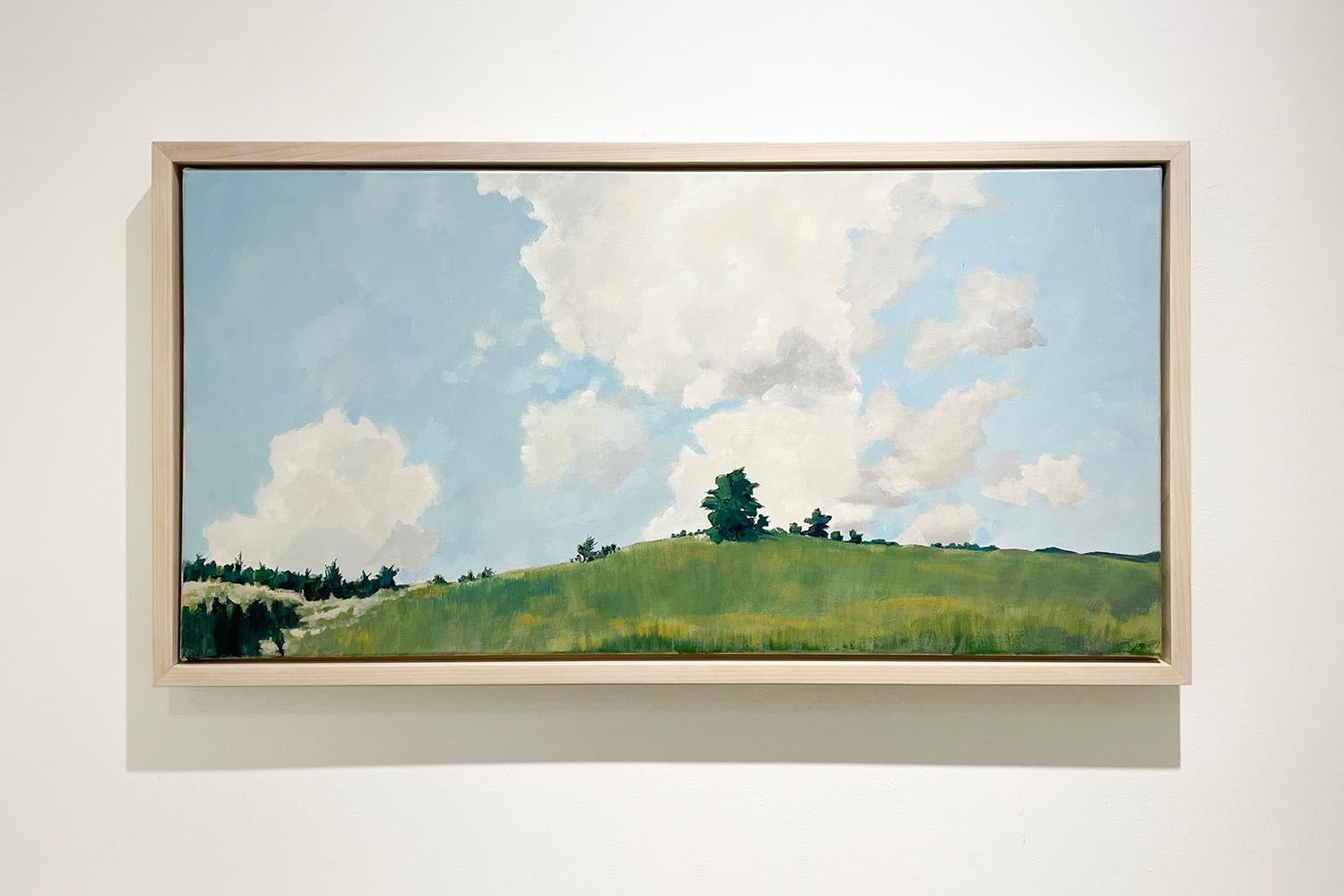 Upper Meadow in June (Contemporary Panoramic Plein Air Landscape Painting) For Sale 1