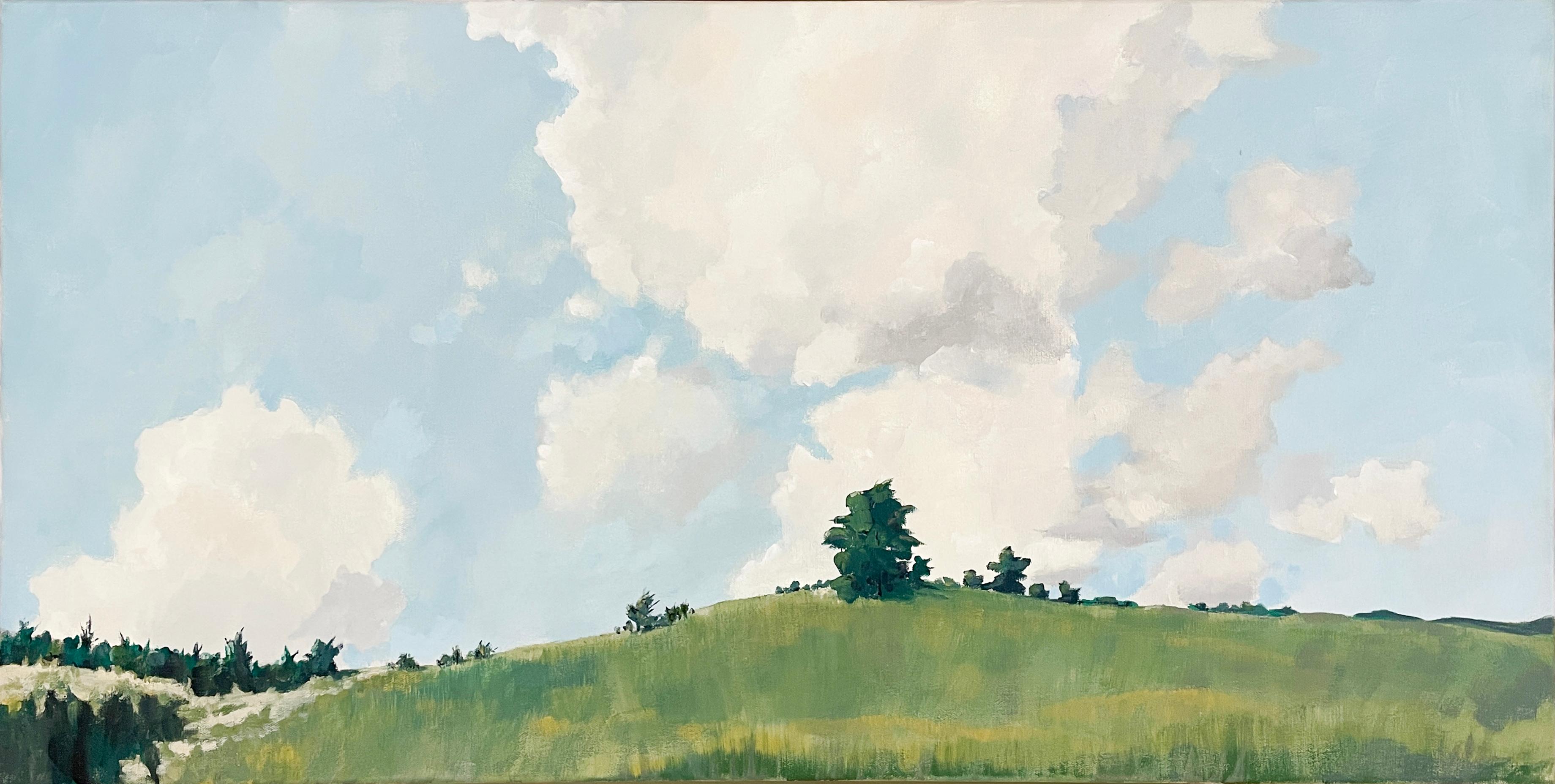 Joseph Rapp Figurative Painting - Upper Meadow in June (Contemporary Panoramic Plein Air Landscape Painting)