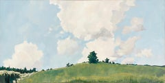 Upper Meadow in June (Peinture panoramique contemporaine de paysage en plein air)