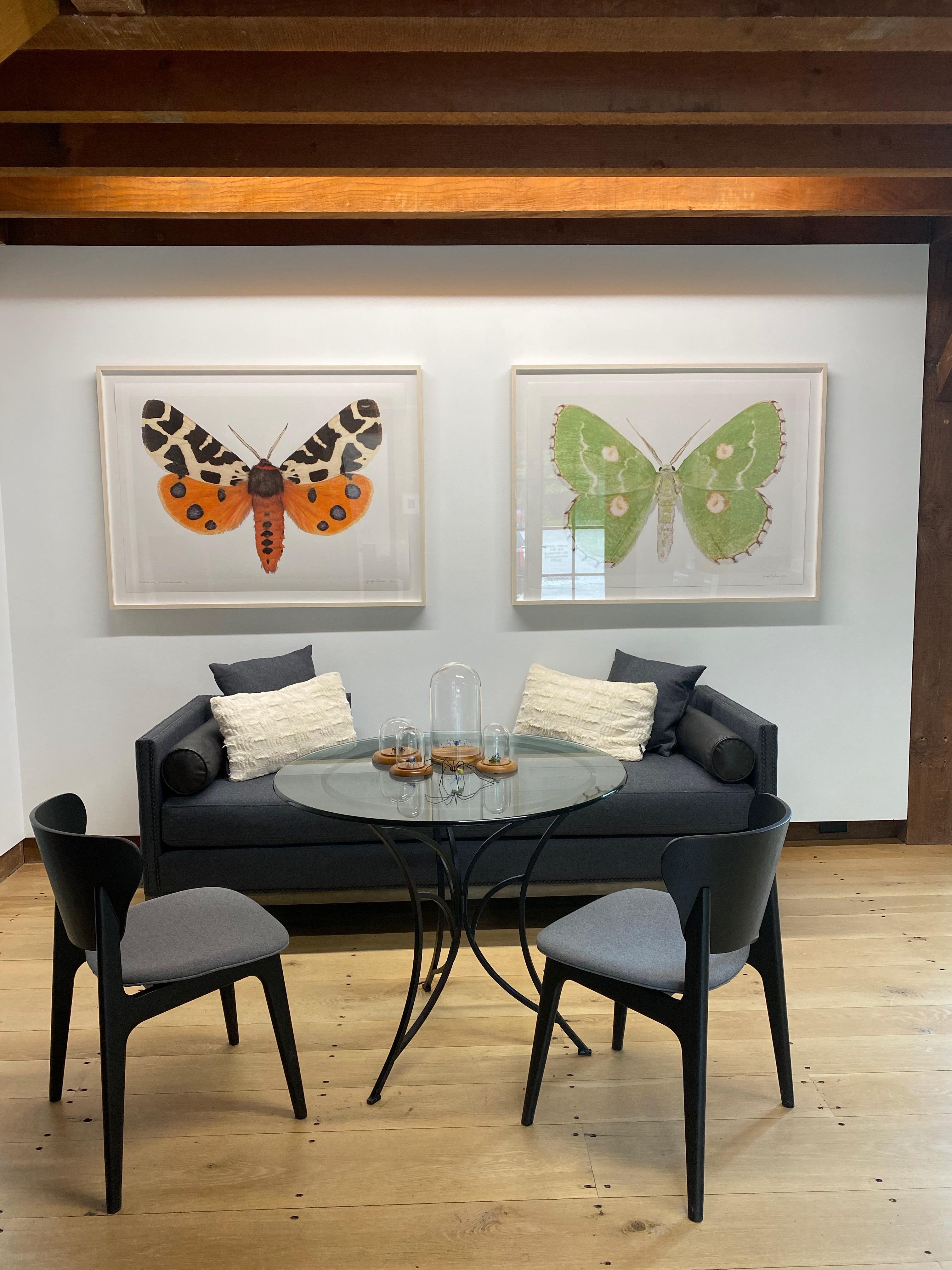 Antheraea Yamamai - Contemporary Archival Pigment Print Goldgelbe braune Motte im Angebot 3
