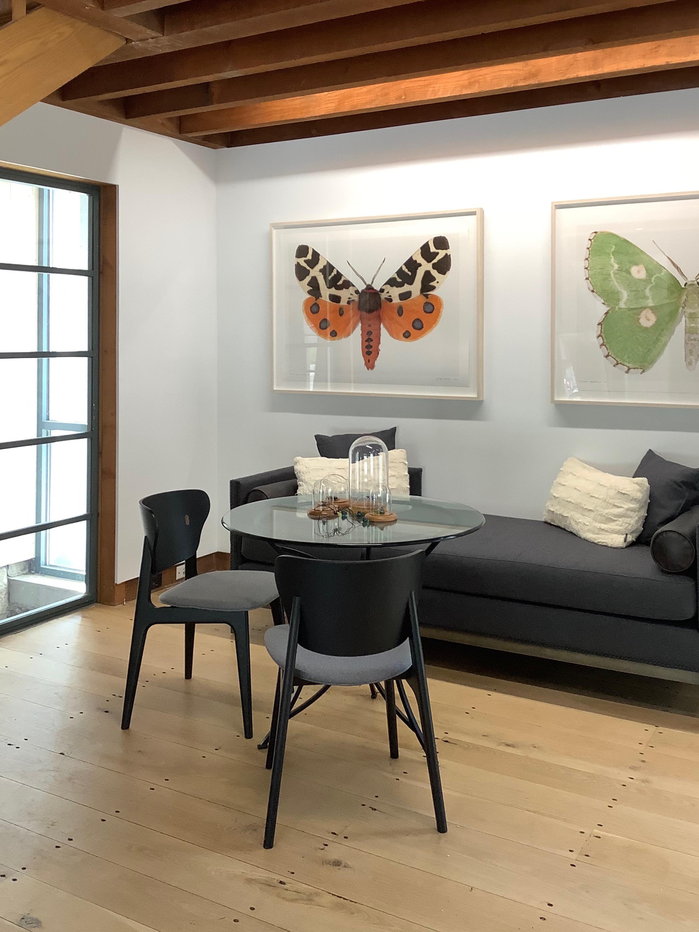 In this hyper-detailed archival pigment print on watercolor paper, an orange moth with black spots and a black and white pattern on the top half of its wings is dramatic against a solid white background.

Edition of 12. Signed, dated and numbered on