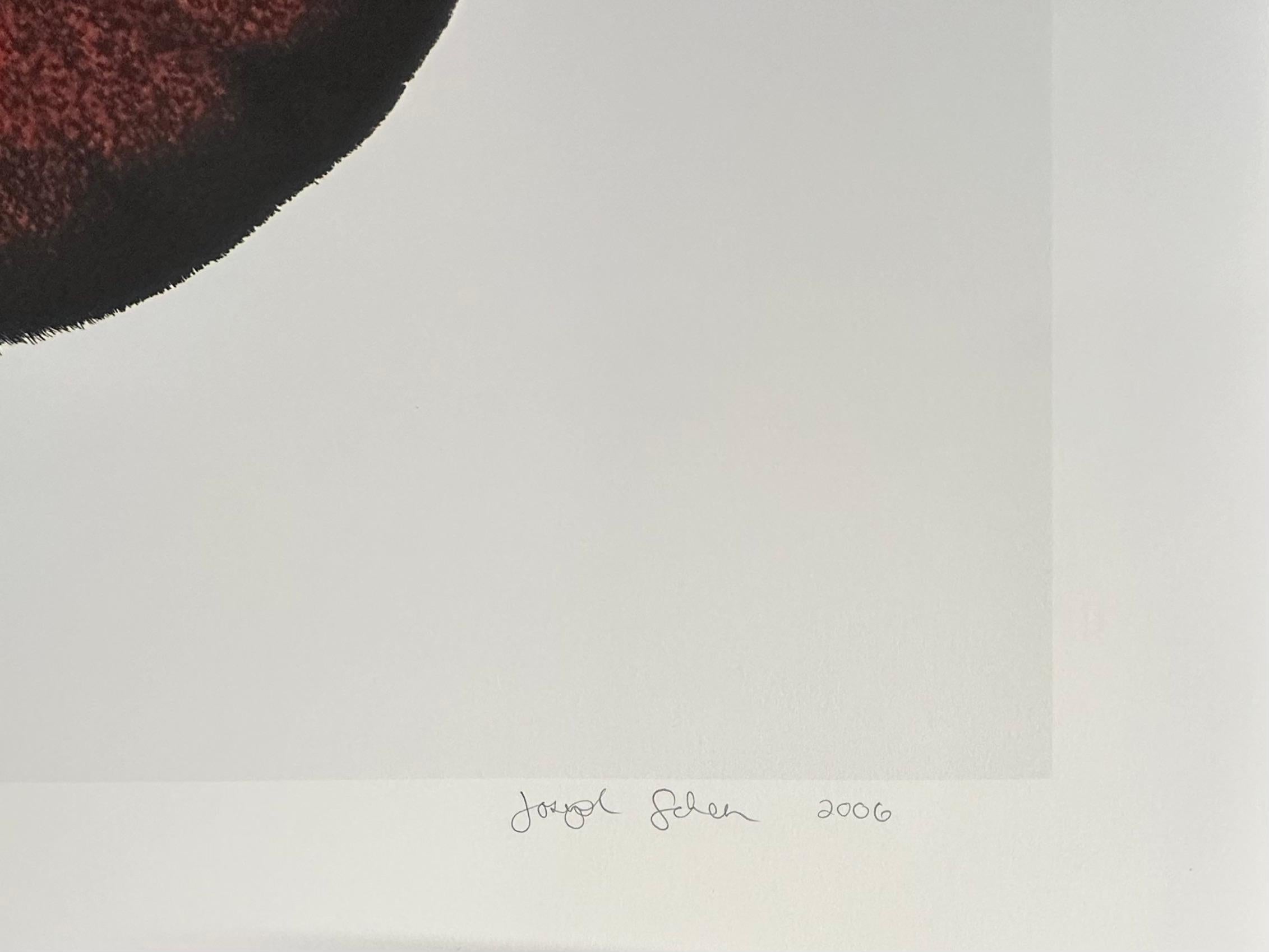 Hemileuca Electra - Red Orange Black Yellow White Moth Insect Photograph, 2006 en vente 14