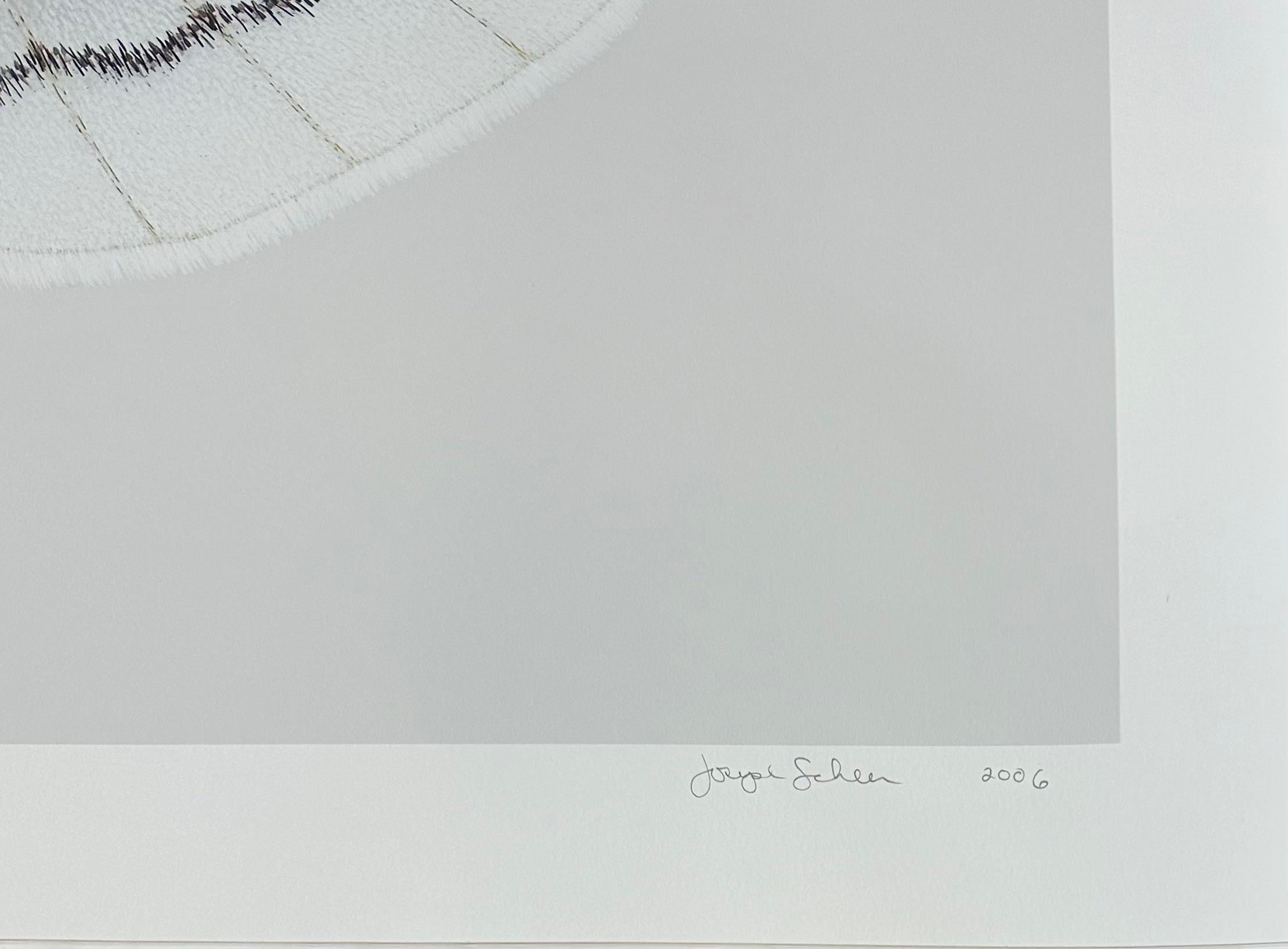 Hemileuca Neomoegeni Female - White Yellow Black Stripes Moth Wings Photograph en vente 5