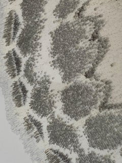 Somatina Indicataria, fotografia naturalistica di falena bianca, marrone e avorio su bianco