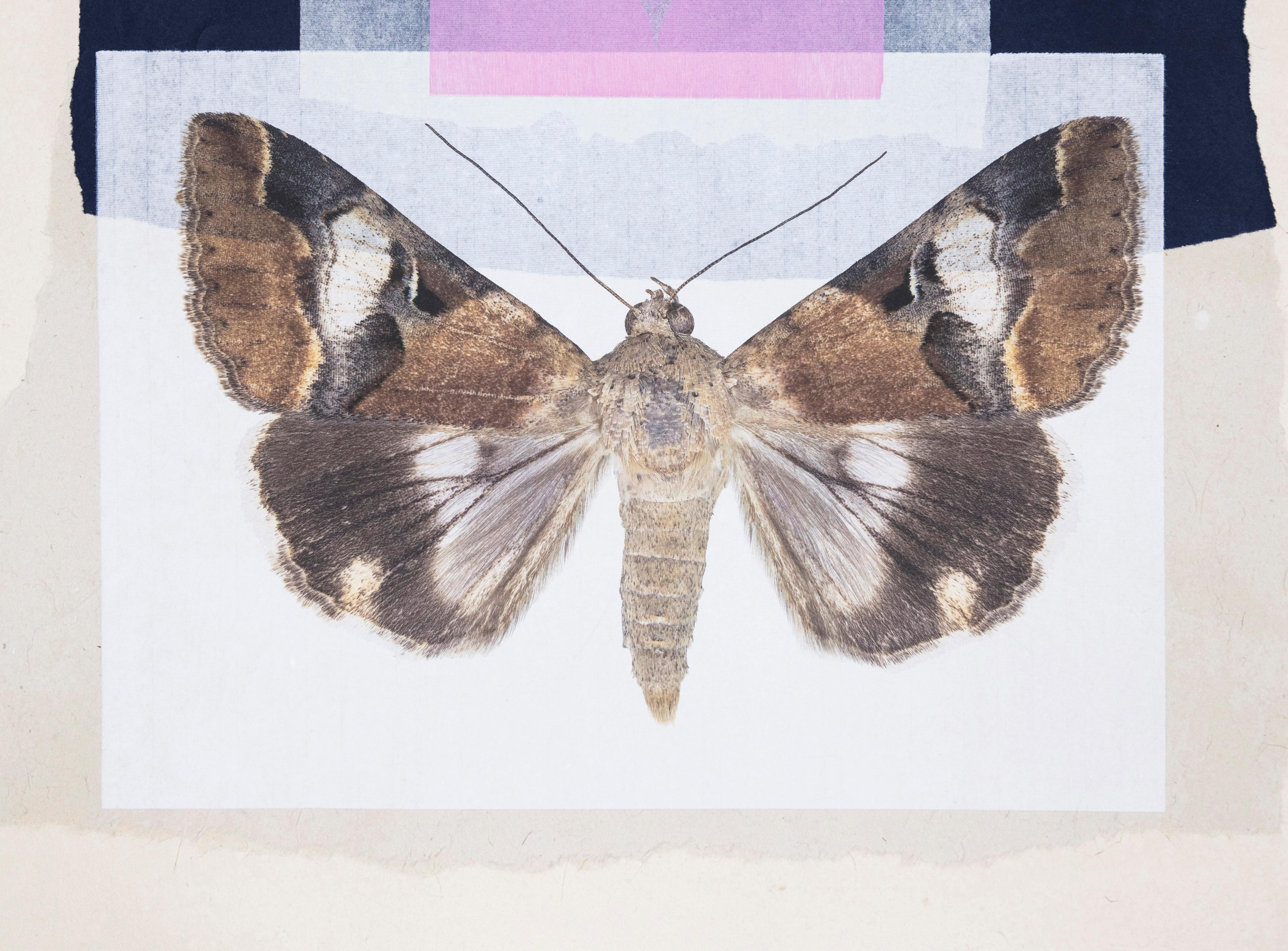 Monotype contemporain encadré d'un collage de motifs papillons et de motifs naturels roses et bleus - Print de Joseph Scheer