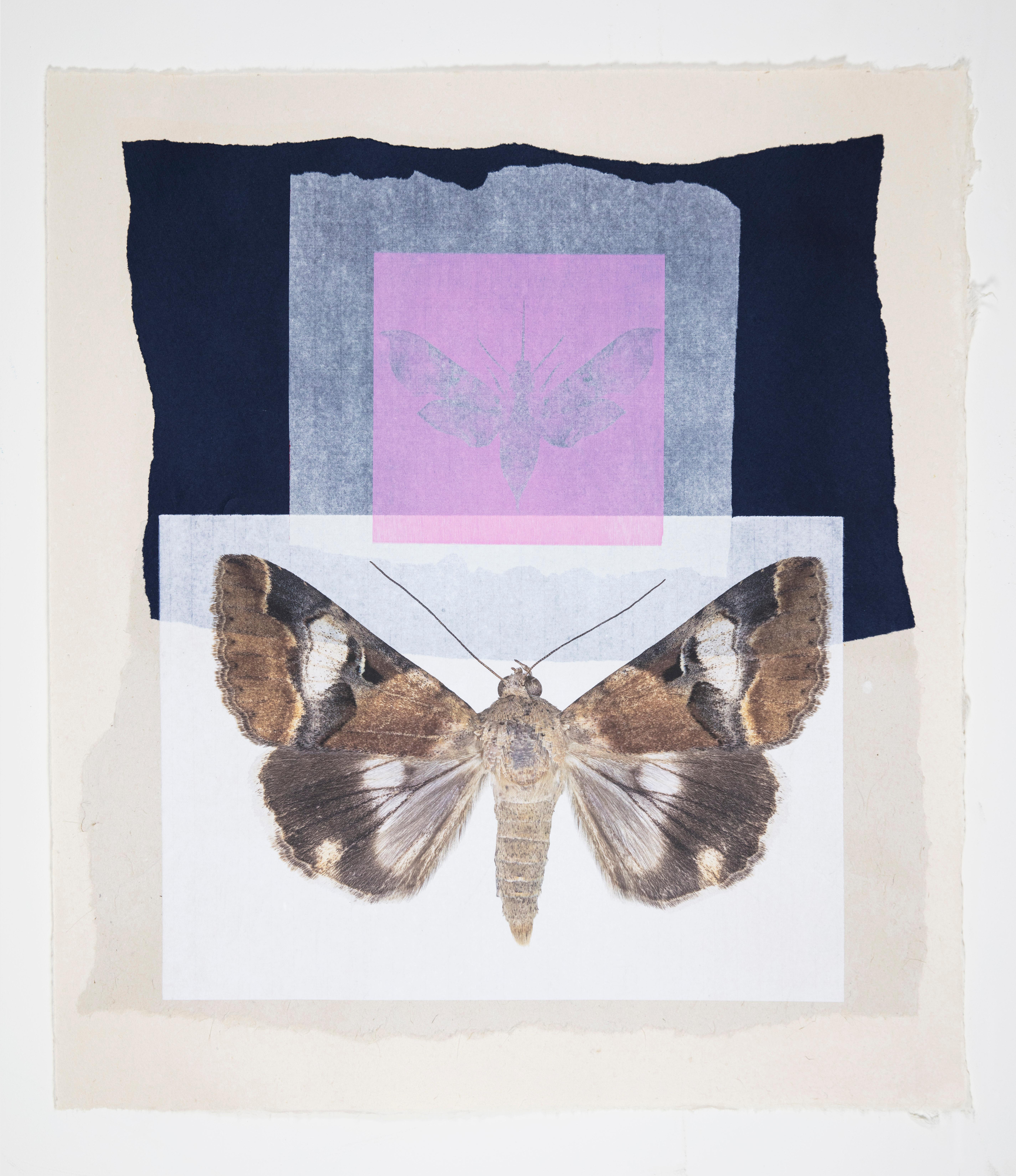 Monotype contemporain encadré d'un collage de motifs papillons et de motifs naturels roses et bleus