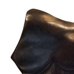 Male Torso V