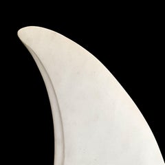 White Fish