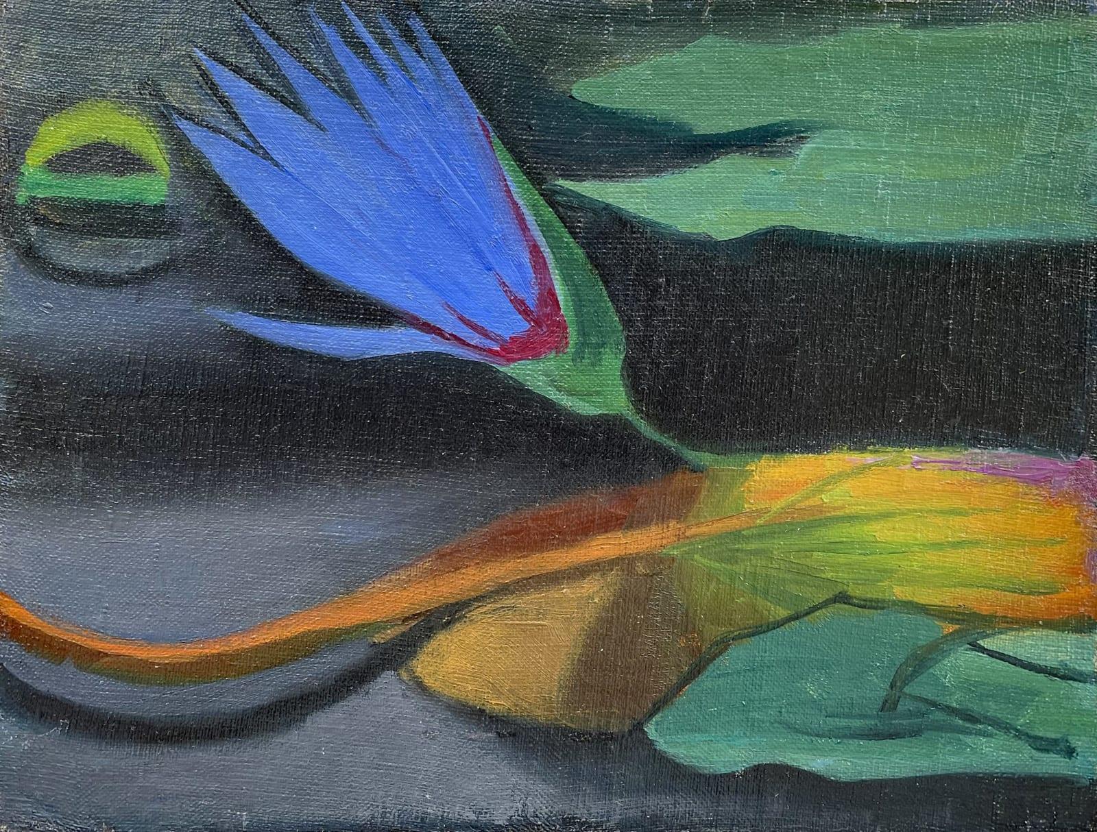 Nenúfar azul