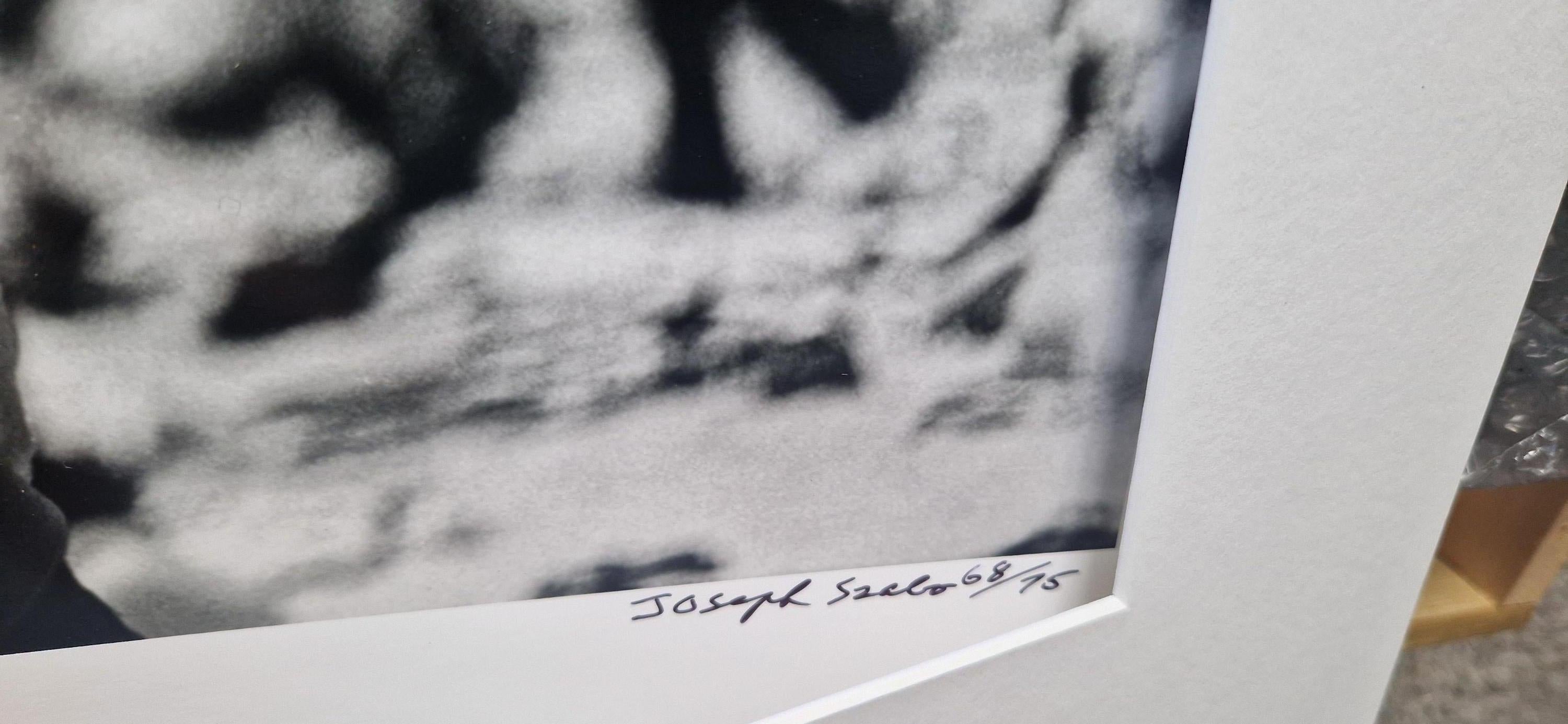 „Priscilla, 1970“ von Joseph Szabo aus der SCHLUSSVERKAUFT-Ausgabe im Angebot 2