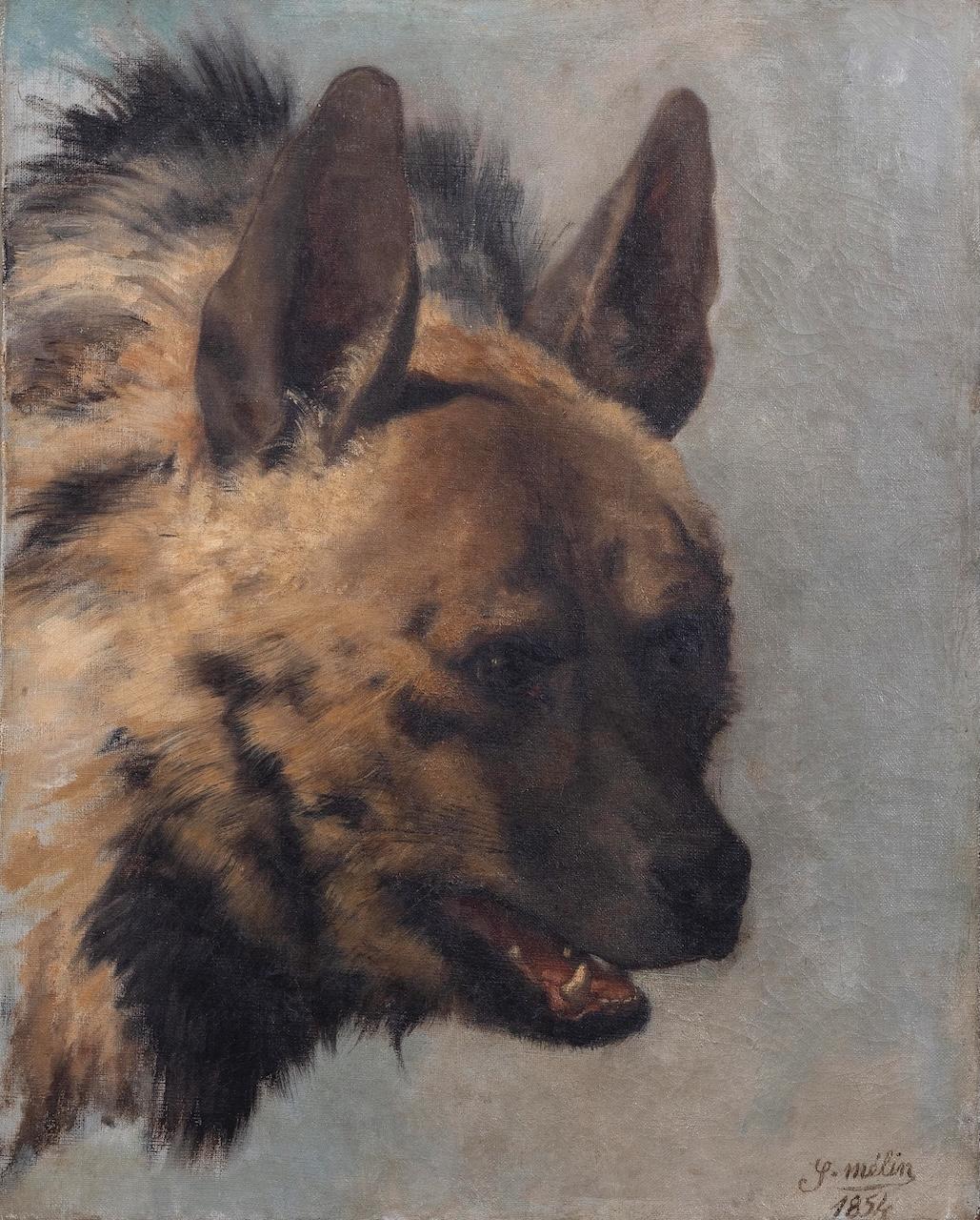 Testa di iena - Painting di Joseph Urbain MÉLIN
