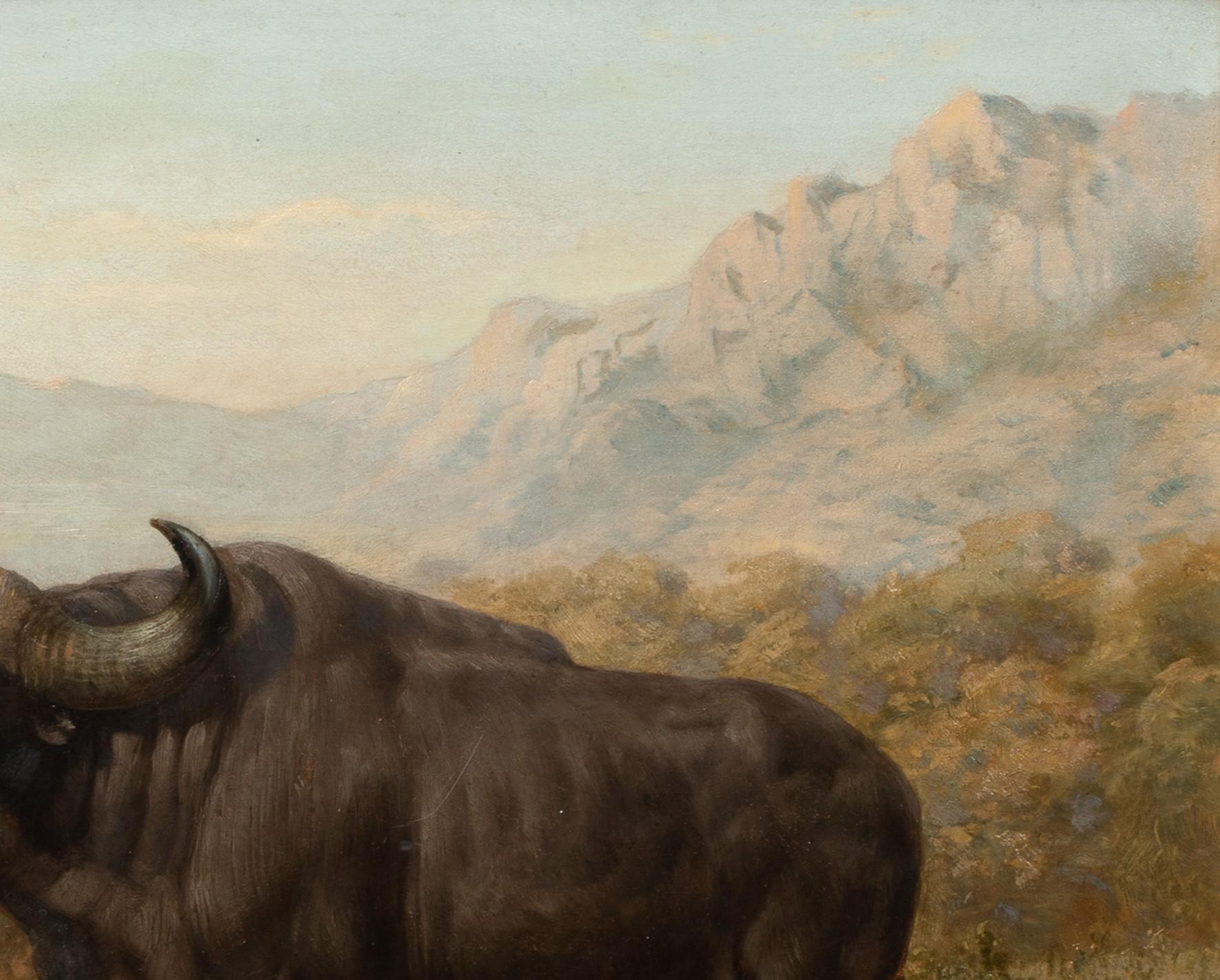 A Study Of Bison, 19th century  - Painting by Joseph Wolf