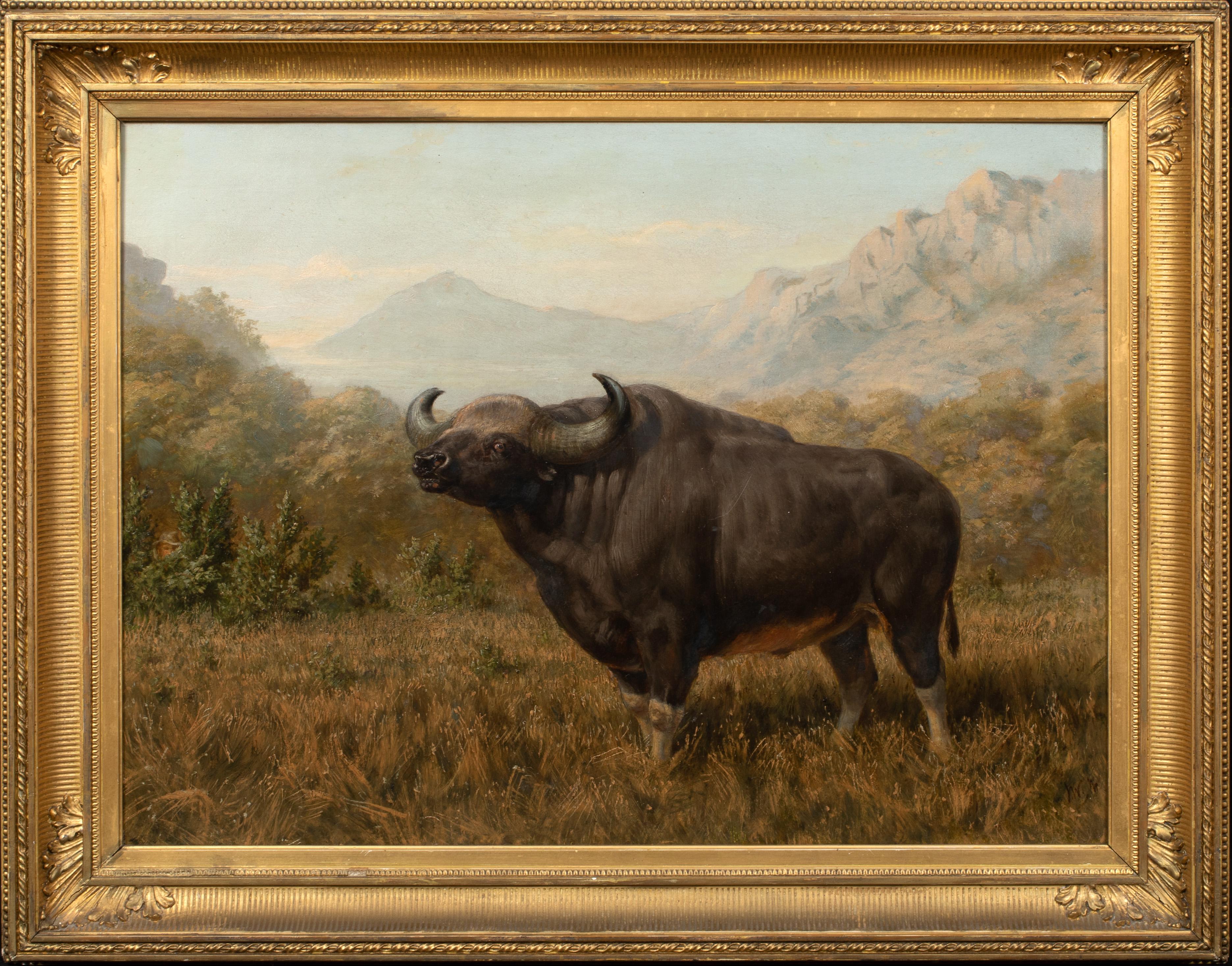Joseph Wolf Portrait Painting - A Study Of Bison, 19th century 
