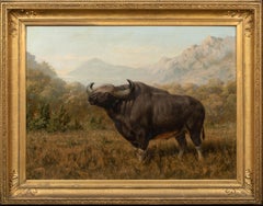A Study Of Bison, 19th century 