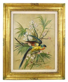 Joseph Wolf, Red, Blue and Yellow Parrot Set Against Foliage.