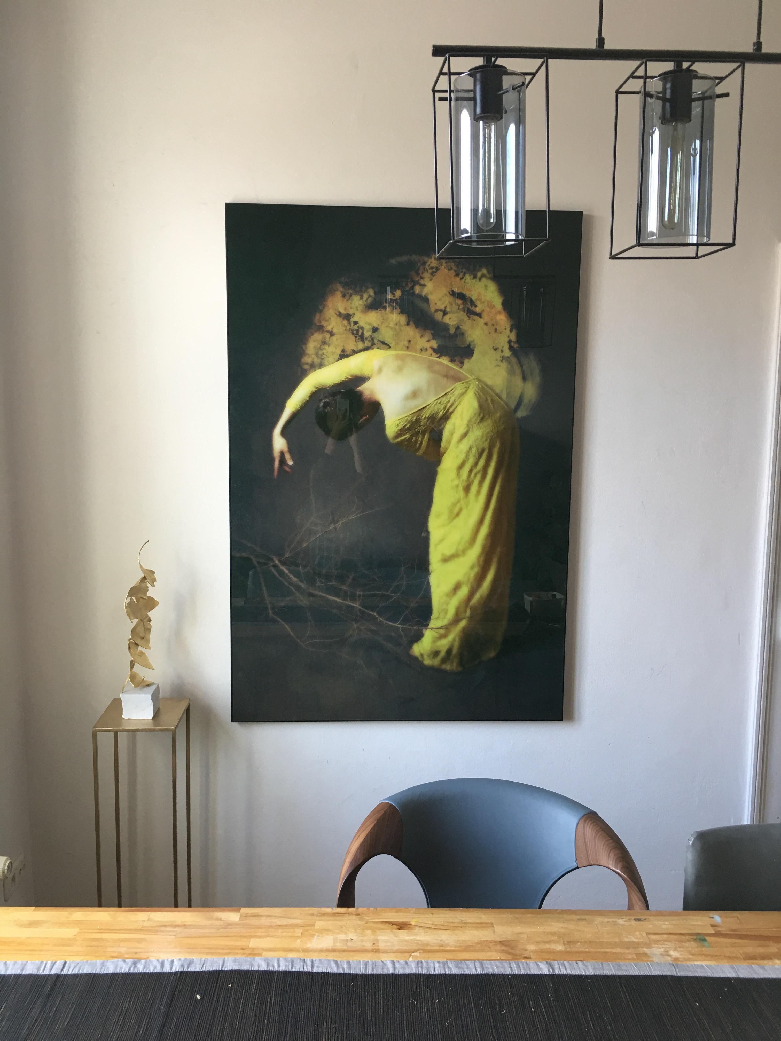 Artist: Josephine Cardin

Medium: Mixed Media of Photography and Painting

Size: 150 x 100 cm

Limited edition 2 of 15

____________________________________________________________________________________________

Cardin uses a mix between