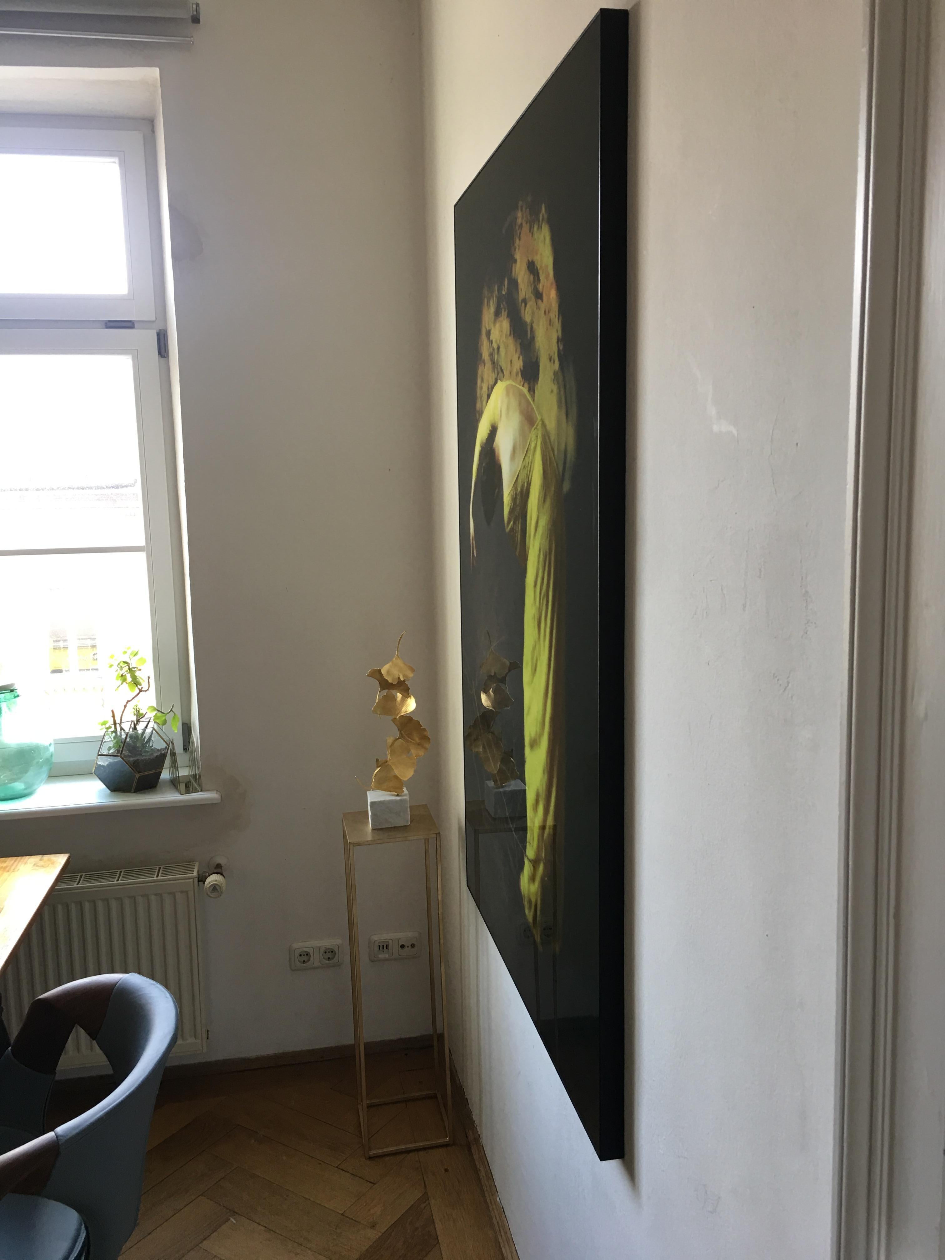 Desolate Amber by Jo Cardin - Contemporary Figurative photography on Diasec For Sale 1