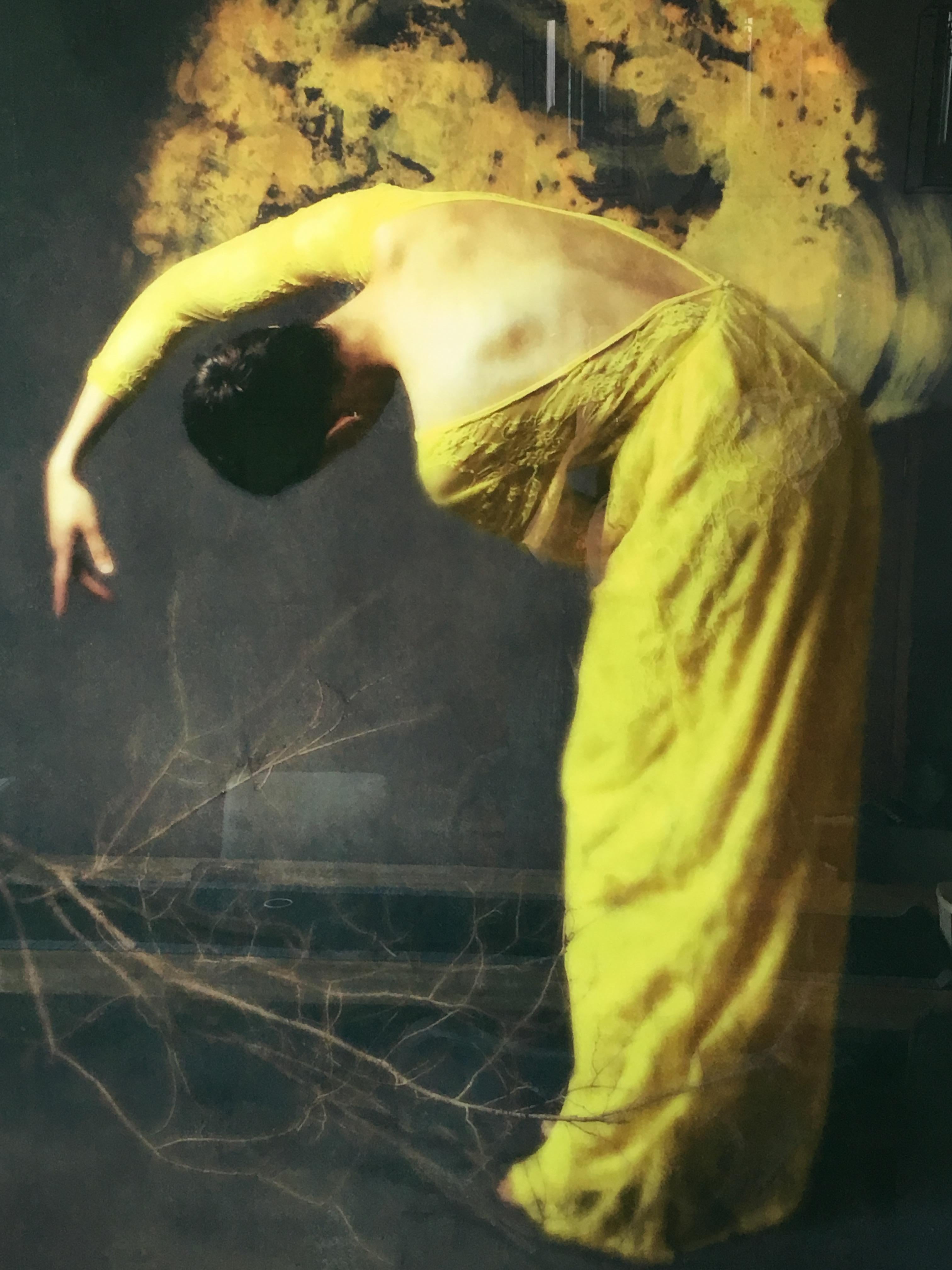 Desolate Amber von Jo Cardin - Zeitgenössische figurative Fotografie auf Diasec 3
