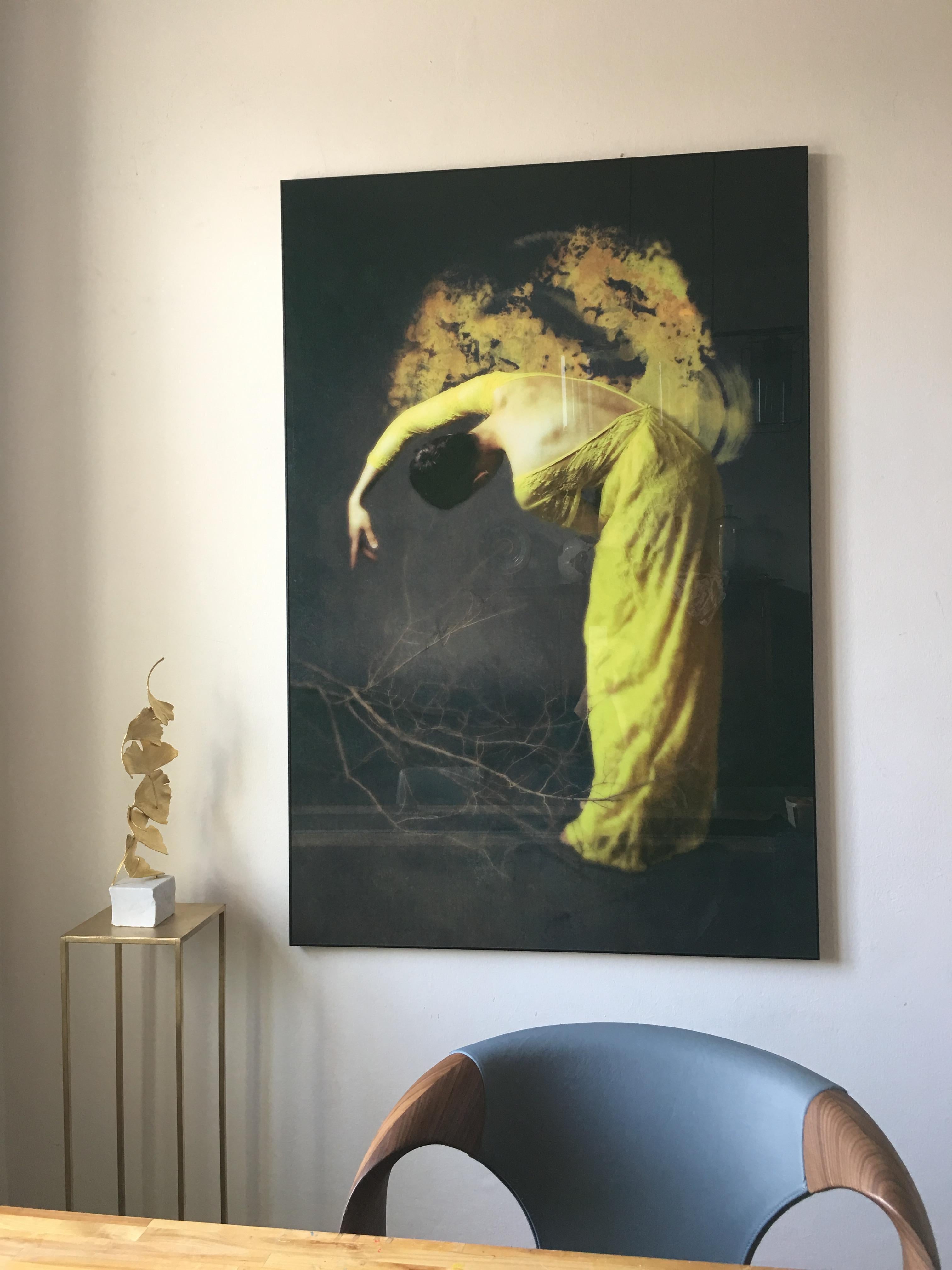 Desolate Amber by Jo Cardin - Contemporary Figurative photography on Diasec  For Sale 1