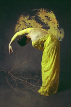 Desolate Amber by Jo Cardin - Contemporary Figurative photography on Diasec